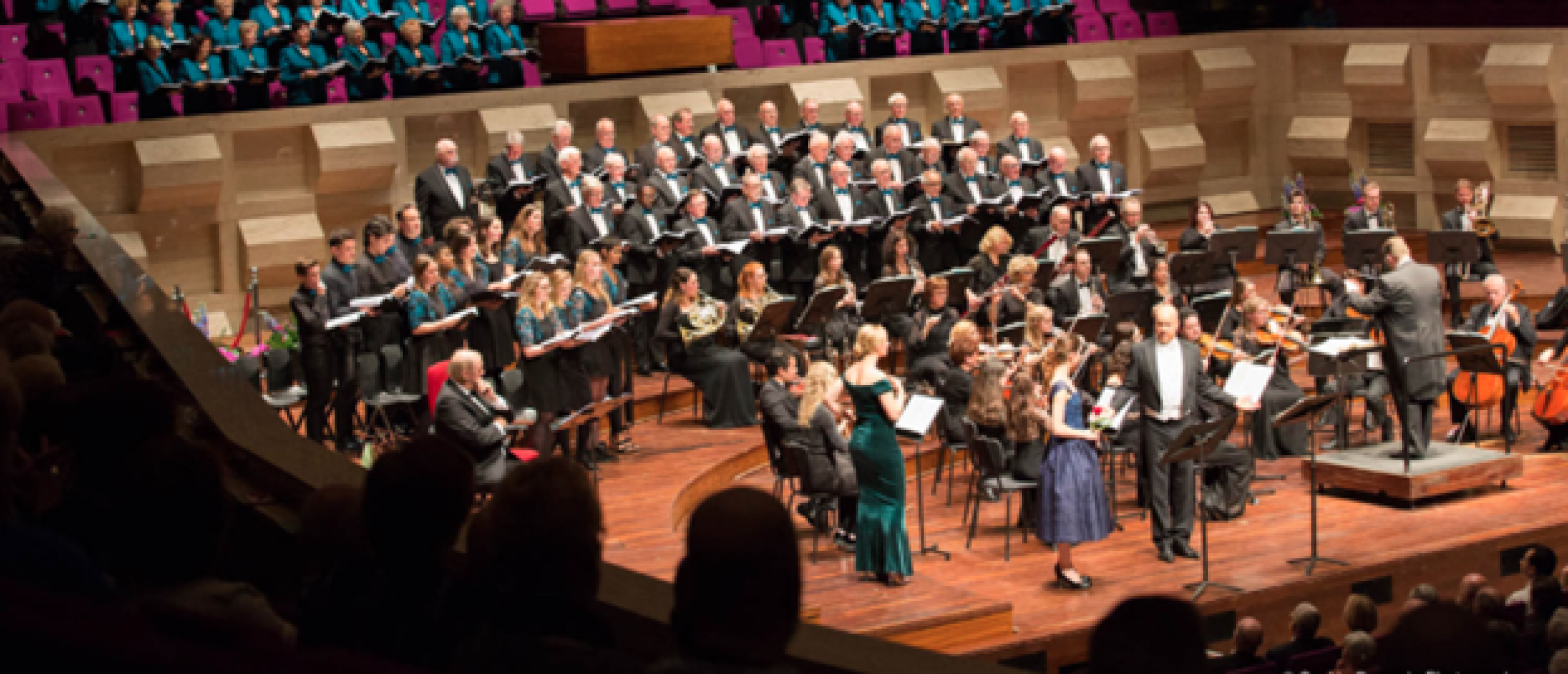 edwin-rutten-nieuwjaarsconcert-1-2558x1100.png